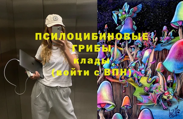 мдпв Алексин