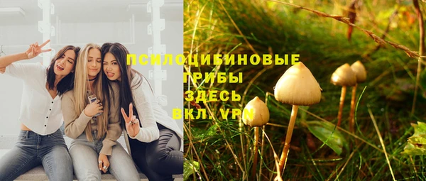 винт Алексеевка