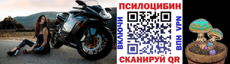 Купить  Карачев  Псилоцибиновые грибы ЛСД 